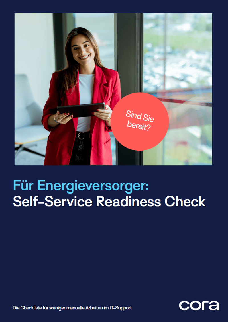 Lead Magnet Energieversorger Checkliste Titelseite